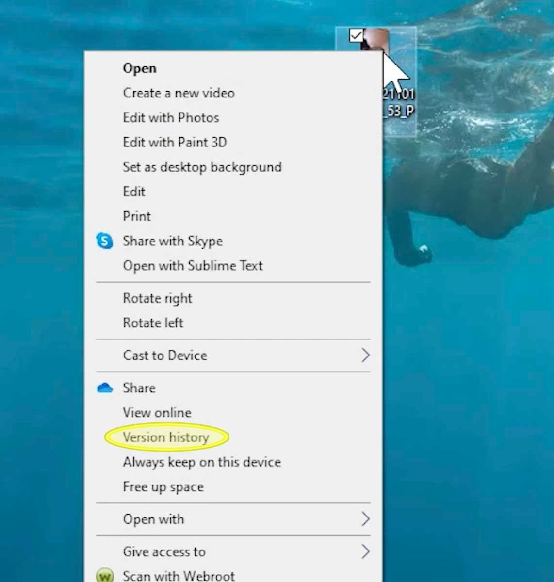 Accessing version history for image files