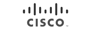 Working with Cisco to provide hardware, software, telecommunications telephones cloud equipment and other high-technology IT services