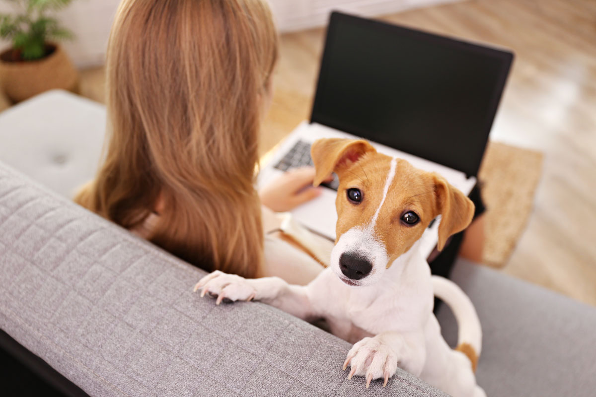 How Microsoft Teams Can Help Your Team Work Remotely