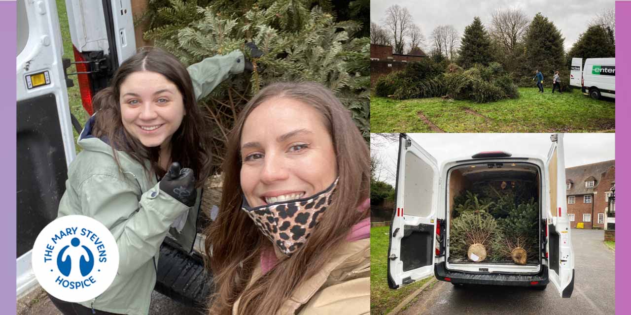 Mary Steven's Hospice's Treecycle Volunteer